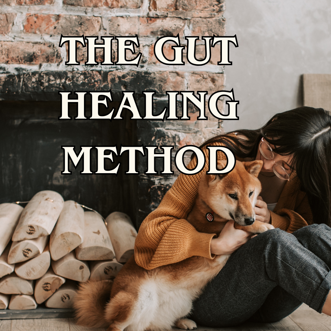 Digestive Intolerance Course - The Gut Healing Method