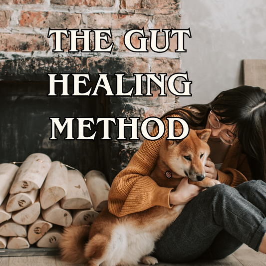 Digestive Intolerance Course - The Gut Healing Method