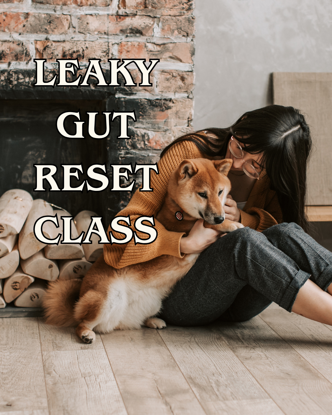 Digestive Intolerance Course — Leaky Gut Reset for Dogs