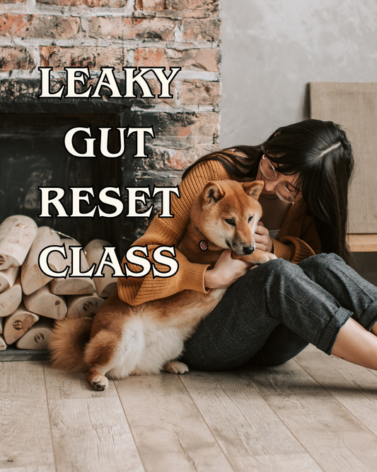 Digestive Intolerance Course — Leaky Gut Reset for Dogs