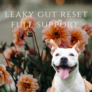 Leaky Gut Reset - Full Support Program for your dog's digestive intolerances