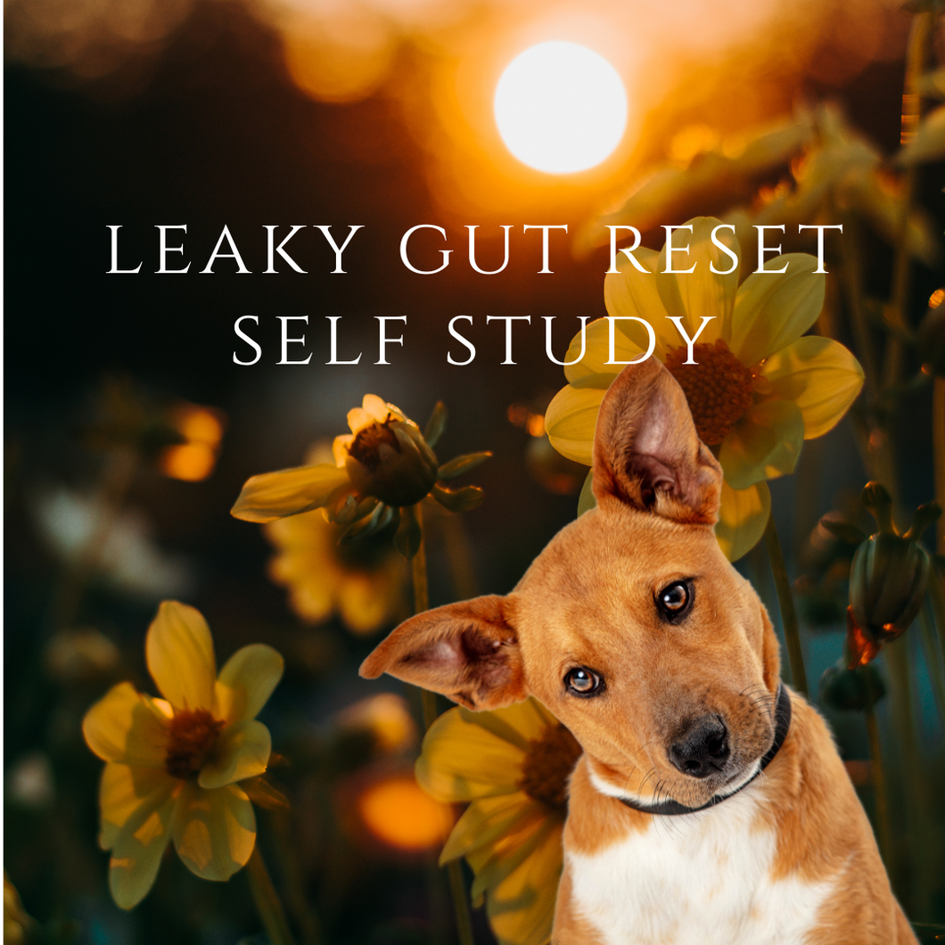 Leaky Gut Reset - Self Study Program