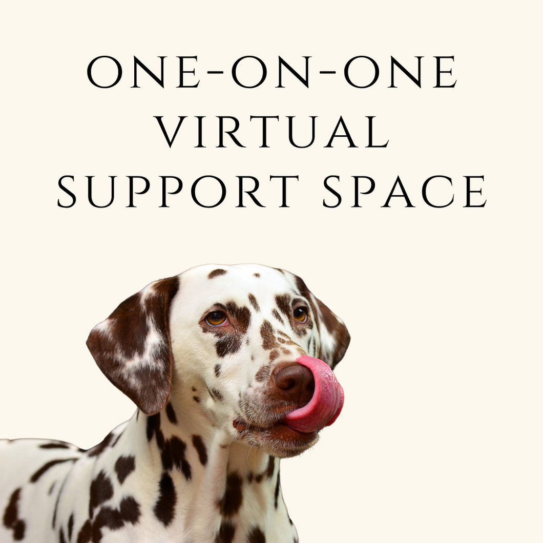 1:1 Voxer Sessions • Take Your Power Back Canine Support Program