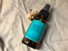 Load image into Gallery viewer, Holistic Dog Ear Wash
